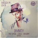 Hallex M Feat. QVLN - Divinity Remixes (104 BPM Interpretation Remiix)