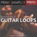 Prime Samples - Guitar Sample