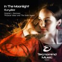 In The Moonlight - Eurydice (Physical Vibes Radio Edit)