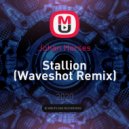 Johan Horses - Stallion