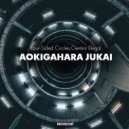 Four-Sided Circles, Gemini Illegal - Aokigahara Jukai (Part 2) (Original Mix)