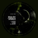 Roklem & Sebalo - Persistence