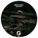 Damir Ludvig - Minute Cure (Original Mix)