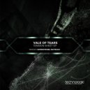 Vale Of Tears - Still Lost (Buitrago Remix)