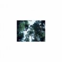 Mindfulness Healing Bgm Project - Leo & Anxiety
