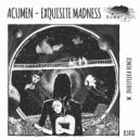 Acumen - Exquisite Madness (Original Mix)