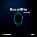 Hiro Ikezawa - Xacallite