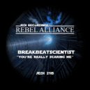 Breakbeatscientist - You\'re Really Scaring Me (Original Mix)