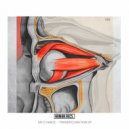 Dr Cyanide - Transfiguration