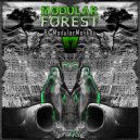 ModularMonkey - Forest Medicin