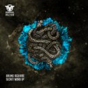 Bruno Aguirre - Solar Storm