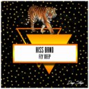 Hiss Band - Saz O Avaz