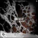 Seen - Decay (Original mix)