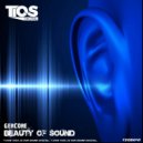 GERCORE - Beauty Of Sound (Original Mix)