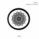 Kassier - The Big