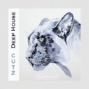 Jaques Le Noir - Could Be (Original Mix)