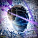 Anderland - Orion Lights