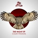 Colin Thomas - Something About
