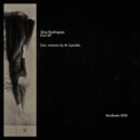 Jorg Rodriguez - Shades