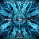 Spiritual Mind, Akasha (BR) & Chronica - Avalanche (Original Mix)