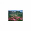 Mindfulness Healing Bgm Project - Muscle and Tension