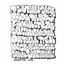 Classic Channel (aka TIJN & Julien Sandre) - Fuse