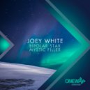 Joey White - Mystic Filler