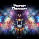 Perfect Disarray - Lack Of Research