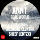 ANNT - Real World