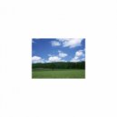 Mindfulness Healing Bgm Project - Club & Detox