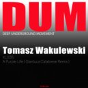 Tomasz Wakulewski - A Purple Life