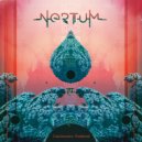 NERTUM - Cosmic Fields