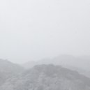 False Image - Willowing (Yard One Reshape)