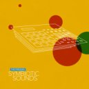 Symbiotic Sounds - 808 Kick Drum (Original Mix)