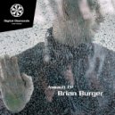 Brian Burger - Next Level (Original Mix)