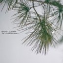 Bruno Ledesma - Disappoint (Original Mix)