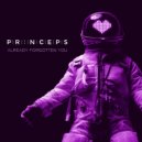 Prïnceps - Already Forgotten You ()