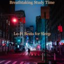 Lo-fi Beats for Sleep - Magnificent Backdrop for Relaxing ()