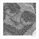 Biobird - Two Sides of the Same Coin (Original mix)