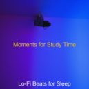 Lo-fi Beats for Sleep - Moments for Study Time ()