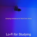Lo-Fi for Studying - Spacious Soundscapes for Chilling at Home ()