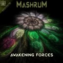 Mashrum - Magnetic Bridge (Original Mix)