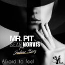 Mr. Pit & Sean Norvis feat. Justine Berg - Afraid To Feel (Dub Mix)