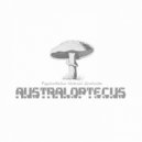 Australoptecus - Its True (Original Mix)