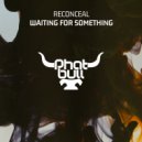 Reconceal - Waiting For Something (Original Mix)