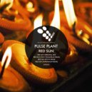 Pulse Plant - Red Sun (Pitch! Remix)