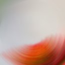 Gabriel Slick, RoboCrafting Material - Nova Archive 2