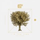 Aithale - Seven Keys