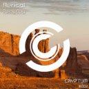 Auricol - Rainy Day (Original Mix)