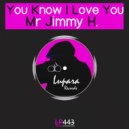 Mr Jimmy H - You Know I Love You